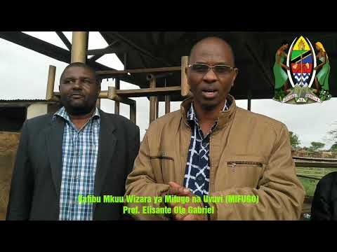 Tanzania ni ya Pili kwa Wingi wa Mifugo- Prof. Ole Gabriel