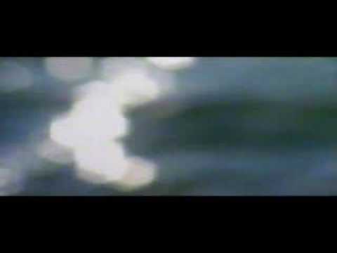 Guarda il video