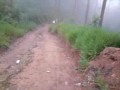 gol atolado