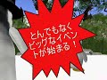 ?????2008? ??????
