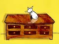 sport cats