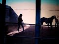 CAIDA DEL CABALLO NERI