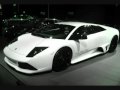 Saleen Vs Lamborghini