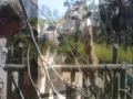 Taronga Zoo: We Believe