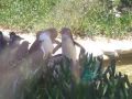 Taronga Zoo: We Believe Taronga Zoo: We Believe