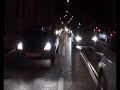 Ulmer Fans feiern den Einzug ins EM-Halbfinale