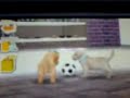 Happy & Naughty reborn as NintenDogs!