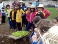 PROFESSOR DIMAS DE MELLO BRAGA -  EXISTE INTERESSE EM ACABAR COM A FOME NO MUNDO !?Em  menos de 3 meses (inicio dia 22 de  maio até 18 de setembro 09 ) transformamos o local antes ocioso em fonte de ALIMENTOS NAURALMENTE SAUDÁVEIS, ECOLOGICAMENTE CORRETO, SOCIALMENTE JUSTO E DELICIOSAMENTE PUROS ... que  já  está enriquecendo a  ALIMENTAÇÃO DE MAIS DE 160 CRIANÇAS E 40 adultos da Creche Lar Escola Dr. Leocádio José Correia.......Sendo executada   por VOLUNTARIOS  (outros)  do  Módulo 9  da SBEE ... apoio  da  Sec. Abastecimento de Curitiba ...agora é  com as professoras e  crianças.... ***************************************************************OBJETIVOS:- As paredes da escola deixaram de existir ...0 presente projeto propõe a continuidade na formação da horta e pomar nos espaços improdutivos da escola,a transformação dos quintais e terrenos ociosos da comunidade em áreas de produção de alimentos. Abriu debate sobre questões ambientais atuais como Biodiversidade e Sustentabilidade. Pretende-se expor os passos para a formação de hortas e pomares bem como, a conscientização com relação ao lixo ,desperdício,reciclagem, preservação dos mananciais e o consumo sustentável... Durante a execução do projeto no qual a participação das  professoras e alunos acontece em horário normal ,são construídas situações práticas para que os mesmos vivenciem e interiorizem a conscientização ecológica através do paisagismo pedagógico (horta, pomar de frutas nativas e tradicionais; jardinagem, terrário, minhocário, compostagem, plantas medicinais, arborização do bairro, etc...Todos os passeios são registrados através de fotografias e relatórios escritos...É importante deixar claro que além de transformar terrenos ociosos e cheios de lixo em fonte de alimentação para as famílias carentes da comunidade; estamos conseguindo mudar o preconceito intelectual de que trabalhar com terra é apenas força braçal. Os alunos estão aprendendo que trabalhar numa horta é produzir alimentos para uma vida mais saudável,que fazer compostagem é reaproveitar restos de alimentos para adubar hortas, jardins e evitar o desperdício, que os restos das próprias hortaliças servem para o composto e as sementes são guardadas para posterior plantio,que eles cuidarão da terra,das outras pessoas e de si mesmos,que fazer uma horta em sua casa é uma atitude para uma VIDA COM MAIS QUALIDADE, ECOLOGICAMENTE SUSTENTÁVEL, ECONOMICAMENTE VIÁVEL E CULTURALMENTE ACEITA....Com isso são valorizados em suas famílias como  AGENTES PRODUTORES DE ALIMENTOS  e capazes de compartilhar em casa o que estão aprendendo na escola, além de conteúdos, atitudes como liderança, solidariedade, companheirismo, hábitos de higiene, alimentação saudável, senso crítico ao consumismo e ao desperdício. A horta da escola tornou-se um laboratório(sementeiro) onde as mudas são transplantadas para a idéia principal do Projeto:- Uma horta em cada quintal da comunidade. (Lembra da horta da vovó!?).Tornou-se hábito a visita e participação diária dos pais na escola, trocando experiências para que possam produzir sua própria horta,promovendo a melhoria da qualidade de suas vidas,com alimentos NATURALMENTE SAUDAVEIS, AMBIENTALMENTE CORRETO, SOCIALMENTE JUSTO E DELICIOSAMENTE PURO...TOTALMENTE SEM AGROTÓXICOS. ÁGUA PARA IRRIGAÇÃO - DA CHUVA - TUDO O QUE EU FIZER PODE SER INSIGNIFICANTE, MAS É MUITO IMPORTANTE QUE EU FAÇA!Música:- Sonho Impossível ( Maria Bethania) - Tocando em Frente - (Daniel & Almir Sater) e Deus e eu no Sertão (Victor e Léo.