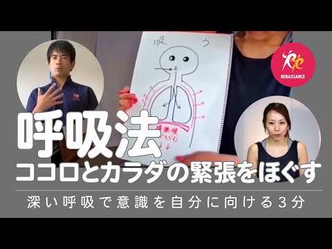 YouTube動画