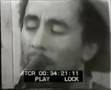 bob marley - pimper's paradise