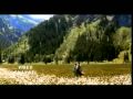  - MovieZen Video