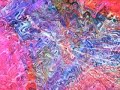 Distortia