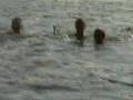 videos de Danube Dragons - Landratten im Paddelboot