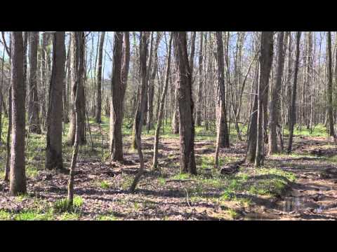 196 acres Oxford, NC