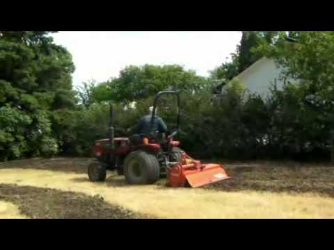 how to eliminate quackgrass from lawn