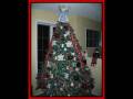 videos de Rosenberger Christmas 2008