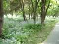 videos de Reise in Qu Fu in Kong Wald mit Martina Hegmann