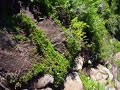 Mt. Verstovia/Arrowhead Peak pt. 3