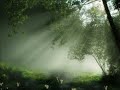 Click here to watch this video Dub-eden - Heaven storm.wmv