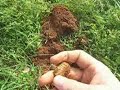 F-75 Tips & Civil War Relics F-75 Tips & Civil War Relics