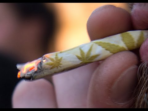 Marijuana Study Reports Positive And Negative Findings