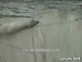 Amazing car climbing