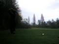 par 3 shot right on target