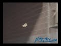 HobbyTron.com Presents the Silverlit Palm-Z RC Airplane HobbyTron.com Presents the Silverlit Palm-Z RC Airplane