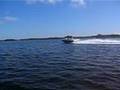 Chris Craft 225 LTD 454 5