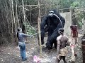 Alexia is caught by kingkong