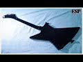 ESP CUSTOM EXPLORER (1996 Model) ESP CUSTOM EXPLORER (1996 Model)