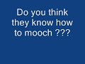 Mooches Mooches