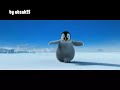 penguins - shamil- şamil oynayan penguenler