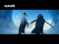 penguins - shamil- şamil oynayan penguenler