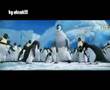 penguins - shamil- şamil oynayan penguenler
