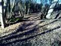 videos de Deal Tri St Margarets Woods.mp4