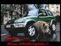 Very Funny Dogs Part 1
