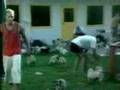 BB1 Finding Chiquita Challenge