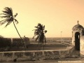 CALLECITAS DE CARTAGENA ARABELA