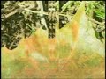 Easter 2006: Alive Again - Hannaford