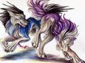 Warriors, Wolves, and Dragons Tribute
