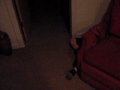 Click here to watch this video The Hunt for Slender Man