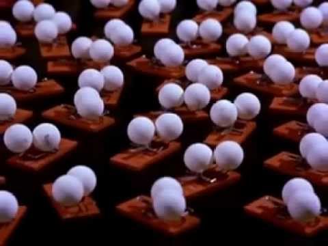 átomo - Amigos assistam com seus filhos ao vídeo