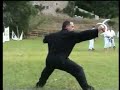 Sun Lutang bagua Yuanyang yue (half-moon swords) Sun Lutang bagua Yuanyang yue (half-moon swords)