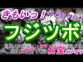 フジツボのお宝映像