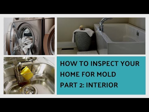 video-linktoworks-How To Inspect Your Home For Mold Part 2 (Bath,...