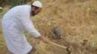 قرية سيرين المهجرة