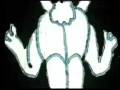 videos de Animazione Creativa