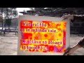Contăm, deci VOTăm! Valera votează