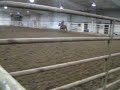 workin horses 2